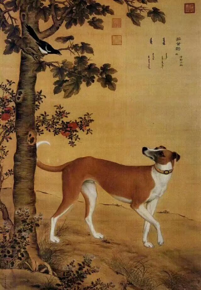 清-郎世宁的10犬图,每幅都要好几千万的.