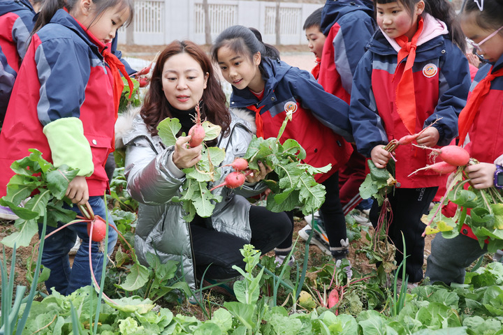 新冠病毒感染乙类乙管后全国多地中小学迎来